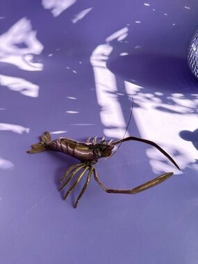 Vintage Brass 12" Shrimp Lobster Crawfish Sea Creature Wet Bug Langoustine